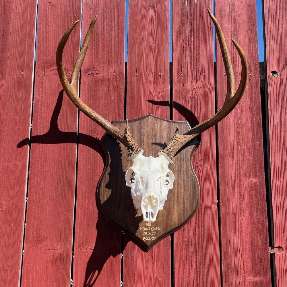 Meet your Posher, Wyatt